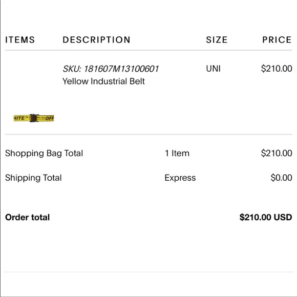 OFF-WHITE Industrial Belt - Picture 8 of 8